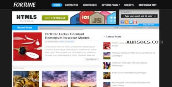 Fortune – Responsive Adsense WordPress Theme 1.1.0 GPL Theme