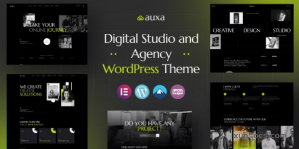 Auxa Digital Studio and Agency WordPress Theme 1.0.0 GPL Theme