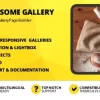 Awesome Gallery Addon for WPBakery Page Builder 2.2.3 GPL Plugins