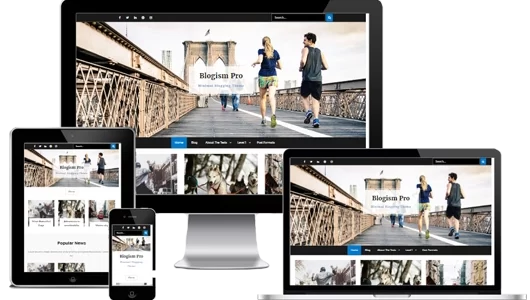 BLOGISM PRO 2.3.1 GPL Theme