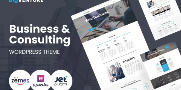 BigVenture Business Consulting WordPress Elementor Theme WordPress Theme 1.0.1 GPL Theme