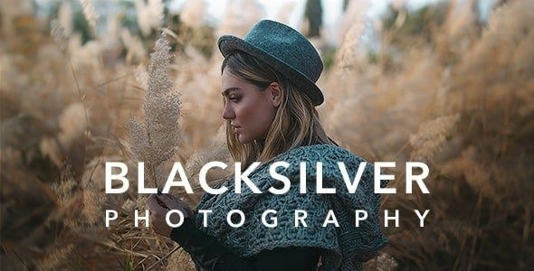 Blacksilver 9.1 GPL Theme