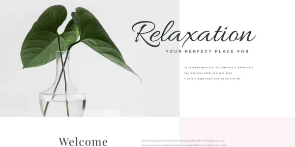 Bonnez Massage Salon Ready-to-Use Minimal WordPress Elementor Theme WordPress Theme 1.0.0 GPL Theme