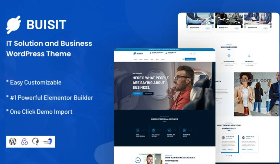 Buisit – IT Solution and Business WordPress Theme 1.0.1 GPL Theme