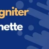CSSIgniter Vignette WordPress Themes 1.9.3 GPL Theme