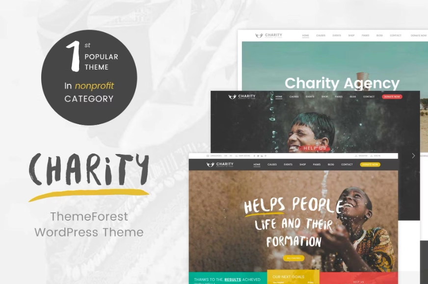 Charity WordPress Theme 2.6 GPL Theme