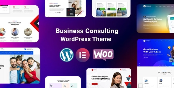 Consua Business Consulting WordPress 1.0 GPL Theme