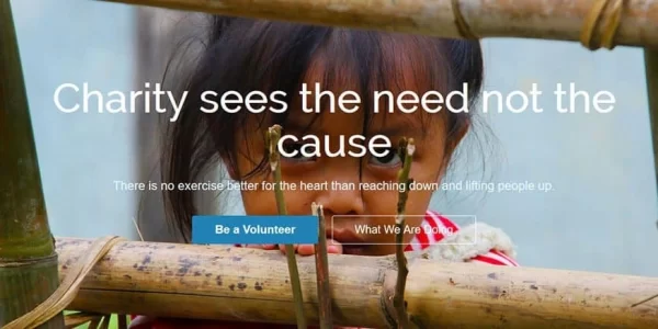 CyberChimps CharityPure WordPress Theme 1.2 GPL Theme