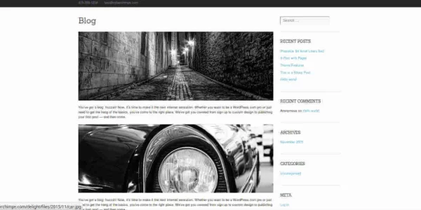CyberChimps Delight WordPress Theme 1.0.0.4 GPL Theme