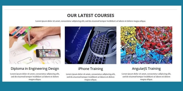 CyberChimps Edu Pro WordPress Theme 1.7 GPL Theme