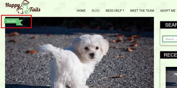 CyberChimps HappyTails WordPress Theme 1.3 GPL Theme