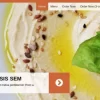 CyberChimps Hot Oven WordPress Theme 1.6 GPL Theme