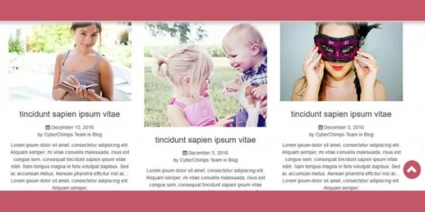 CyberChimps Positive Vibes WordPress Theme 1.5 GPL Theme