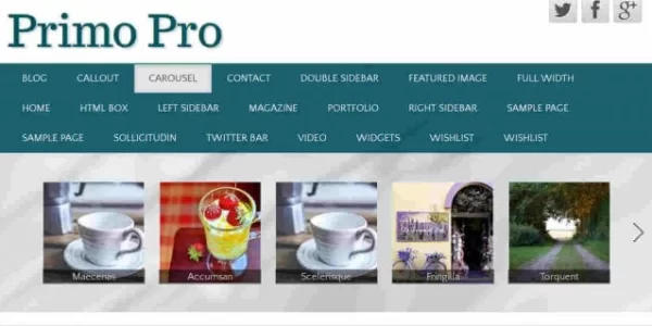 CyberChimps Primo Pro WordPress Theme 1.5 GPL Theme