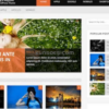OboxThemes Photogenic WordPress Theme 1.1.4 GPL Theme