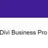 Divi Business Pro 1.0.15 GPL Theme