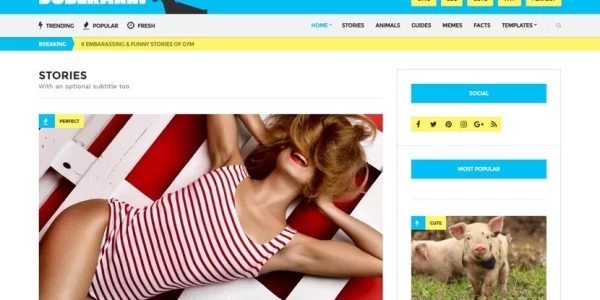 Doberman  CSSIgniter 1.4.2 GPL Theme