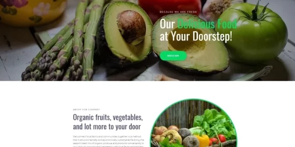 Ecolus Organic Food Delivery ECommerce Modern WordPress Elementor Theme WordPress Theme 1.2.3 GPL Theme