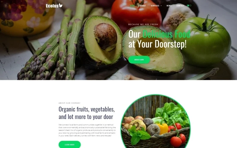Ecolus Organic Food Delivery ECommerce Modern WordPress Elementor Theme WordPress Theme 1.2.3 GPL Theme