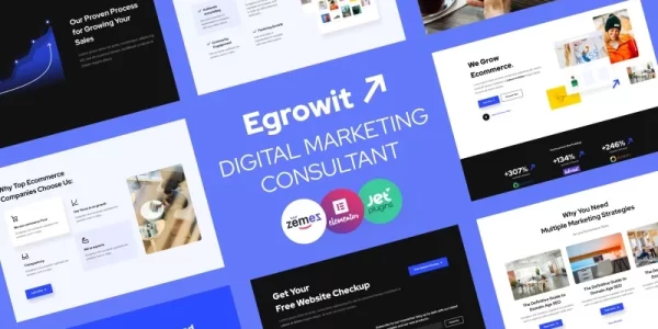 Egrowit Digital Marketing Consultant WordPress Elementor Theme WordPress Theme 1.0.1 GPL Theme