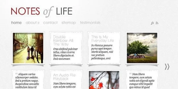 Elegant Themes DailyNotes WordPress Theme 5.8.13 GPL Theme