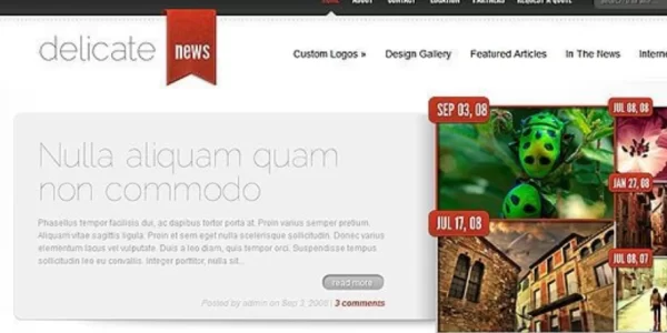 Elegant Themes DelicateNews 4.6.13 GPL Theme