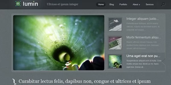 Elegant Themes Lumin 4.8.13 GPL Theme