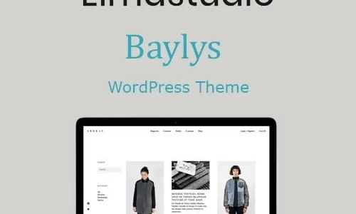 ElmaStudio Baylys WordPress Theme 1.1.6 GPL Theme