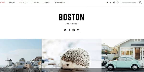 FameThemes Boston Pro WordPress Theme 1.0.5 GPL Theme