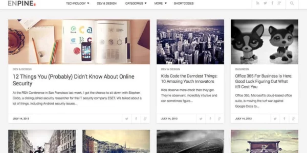 FameThemes Enpine WordPress Theme 1.3.0 GPL Theme