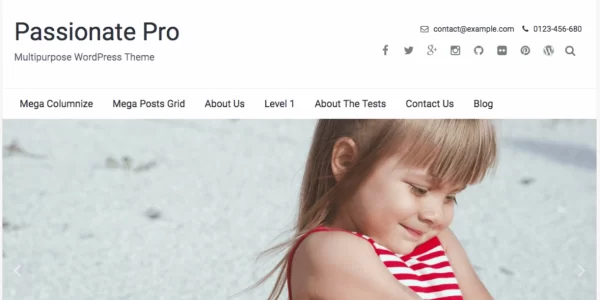 FameThemes Passionate Pro WordPress Theme 1.3.2 GPL Theme