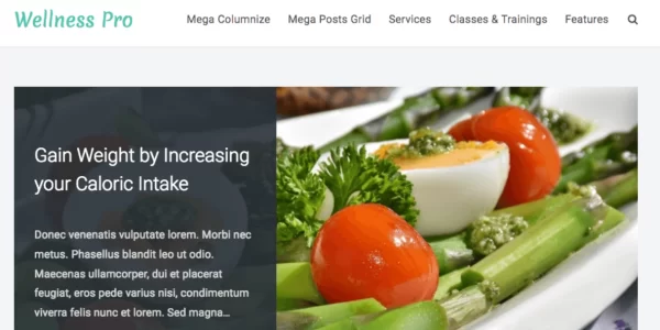 FameThemes Wellness Pro WordPress Theme 1.2 GPL Theme