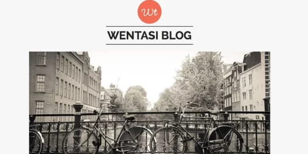 FameThemes Wentasi WordPress Theme 2.0.1 GPL Theme