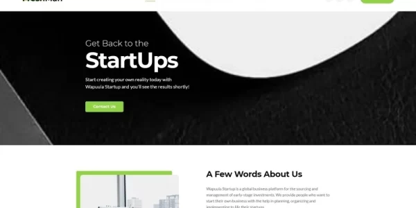 Freshmen Startup Company WordPress Elementor Theme WordPress Theme 1.0.1 GPL Theme
