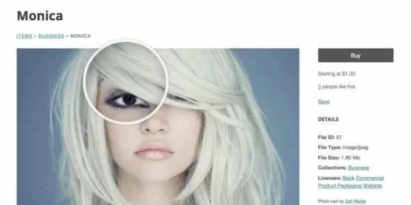 Graph Paper Press Immersion WordPress Theme 1.2.2 GPL Theme