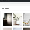 Graph Paper Press Sell Media S3 Addon 2.1.5 GPL Theme