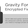 Gravity Forms Encrypted Fields 6.2.2 GPL Plugins
