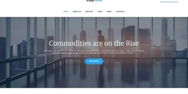 Hayford Investment Consulting Services Responsive WordPress Theme 1.2.3 GPL Theme