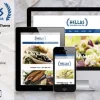 Hellas – Greek Restaurant WordPress Theme 1.07 GPL Theme