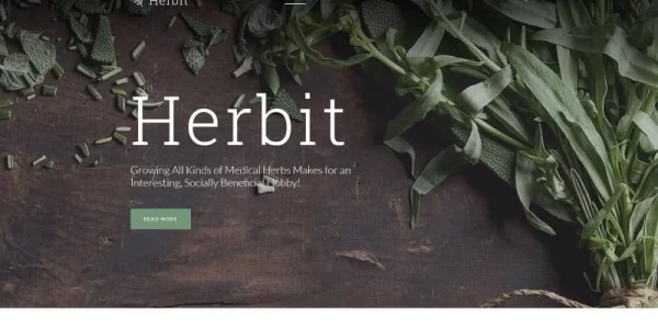 Herbit WordPress Theme 1.0.1 GPL Theme