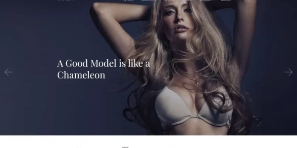 Ida Model Photo Portfolio WordPress Theme 1.0.0 GPL Theme
