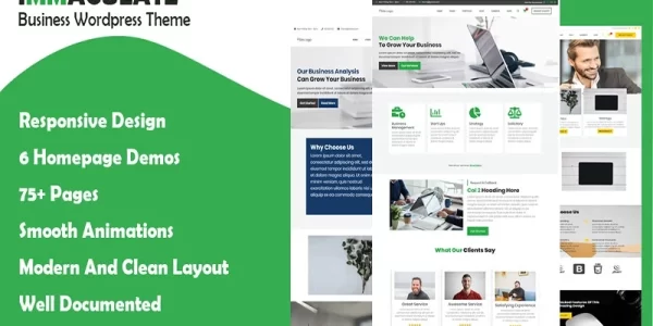 Immaculate Business Multipurpose Consulting WordPress Theme WordPress Theme 1.0.0 GPL Theme