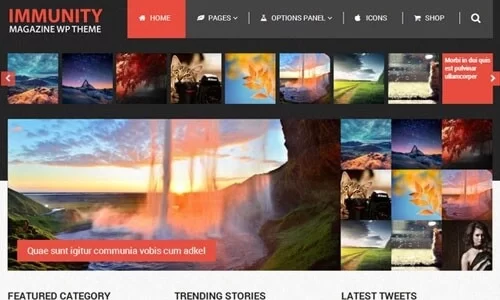 Immunity WordPress Theme 1.2.3 GPL Theme