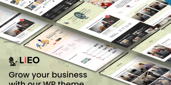 LIEO Business Consulting WordPress Theme 1.0.3 GPL Theme