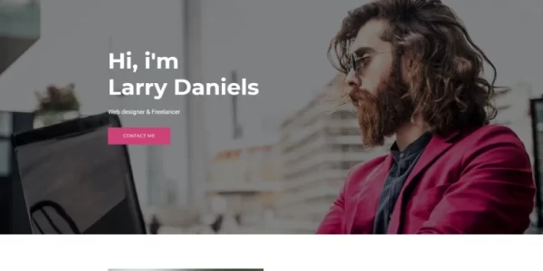 Larry. Personal WordPress Theme 1.0.2 GPL Theme