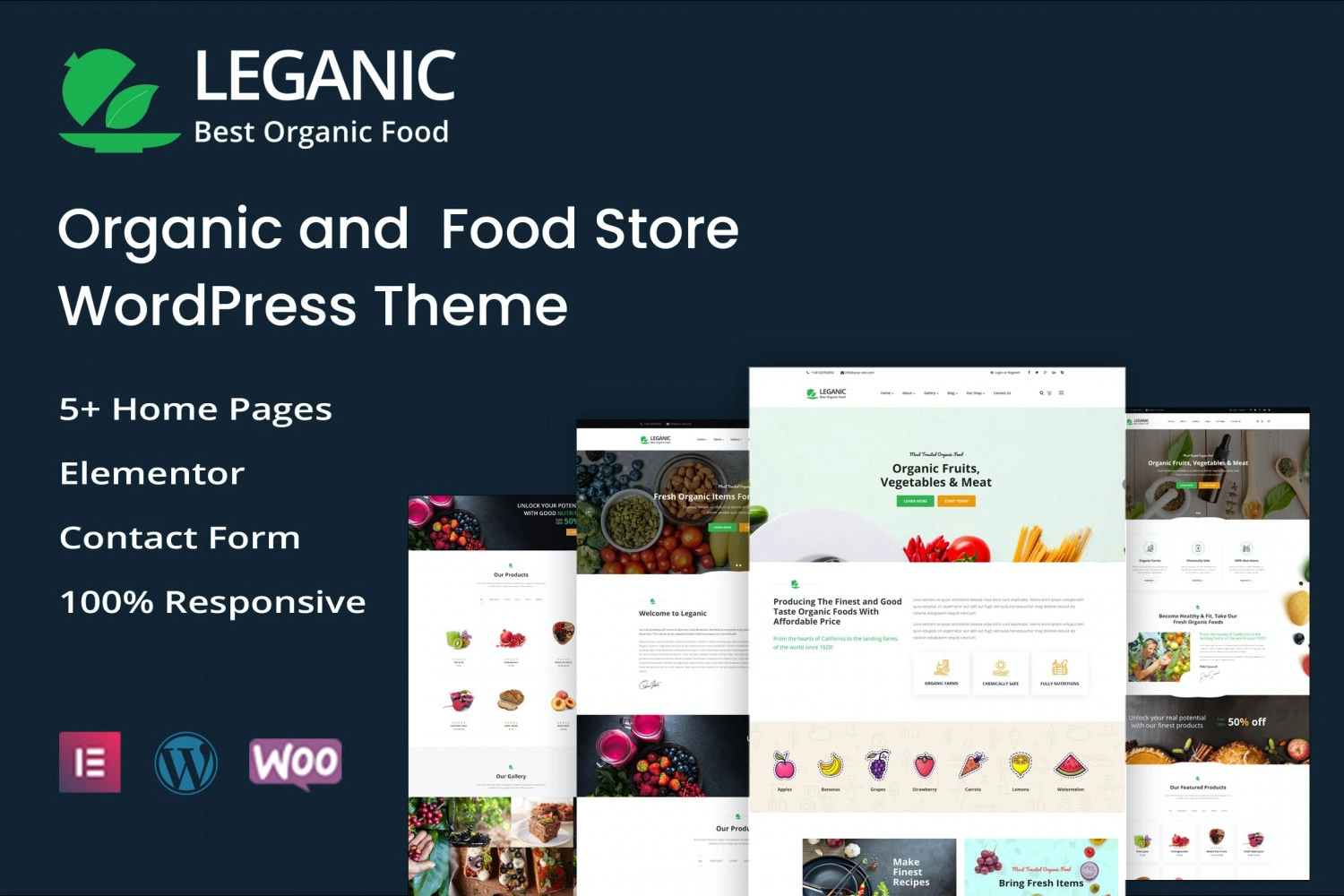 Leganic Organic and Food Store WordPress Theme 1.2 GPL Theme