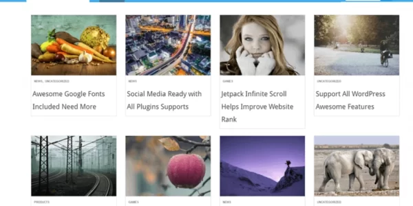 Level Pro Theme provided by InsertCart 2.8 GPL Theme