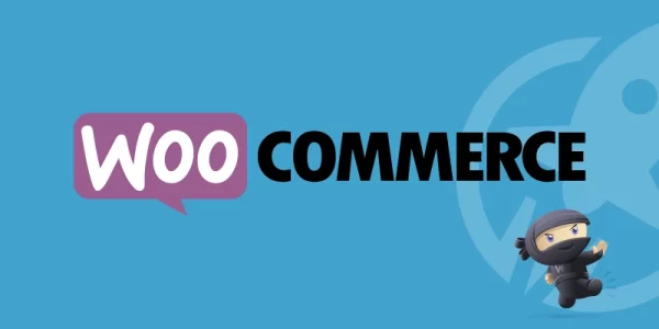LifterLMS WooCommerce Extension 2.5.2 GPL Plugins