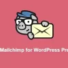 MC4WP Mailchimp for WordPress Premium 4.9.3 GPL Plugins