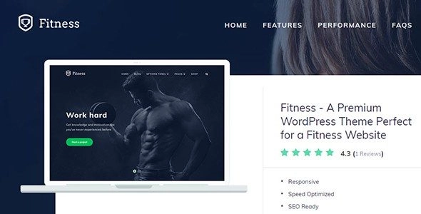 MTS: Fitness A Premium WordPress Theme Perfect for a Fitness Website 1.0.8 GPL Theme